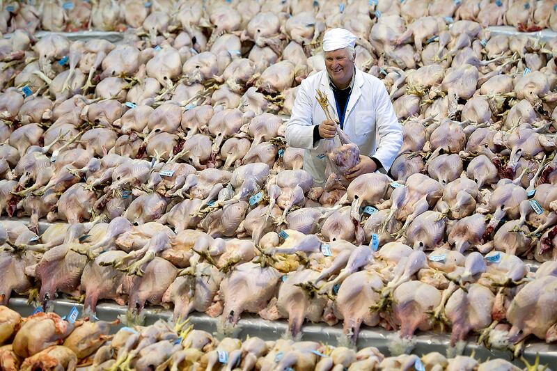 galleries/2011/10/27/photo-of-the-day/photo-of-day-111219-02_wi7mjp