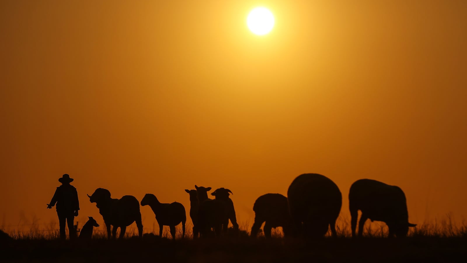 190524-australia-climate-change-tease_btjgko