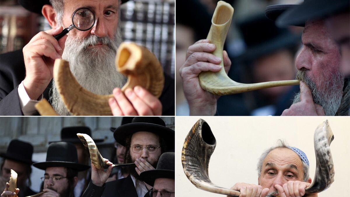 galleries/2012/09/17/it-s-shofar-season-jews-with-horns-photos/shofar-2012-tease_swlzpf
