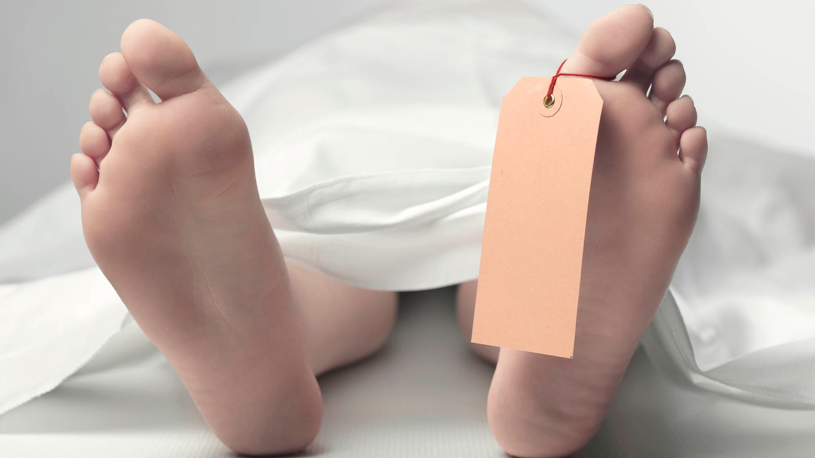 181019-ferri-dead-women-tease_iqht8q