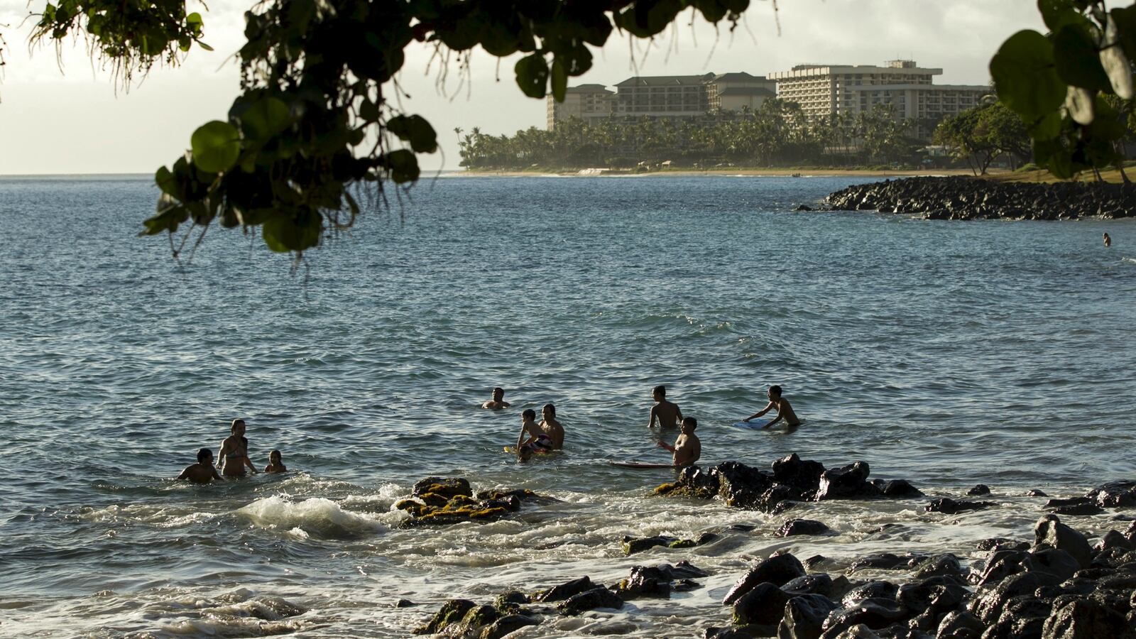 cheats/2016/06/07/woman-charged-for-killing-twin-sister/160607-maui-crash-twins-cheat_vxwgiu