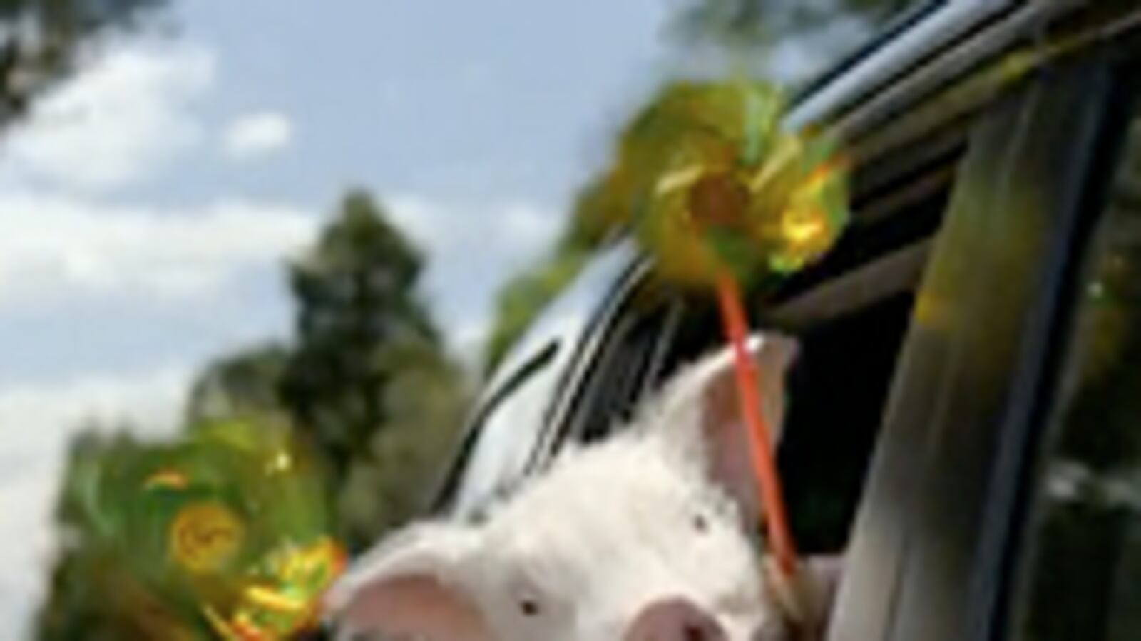 articles/2010/12/25/worst-commercials-of-2010-quiznos-geico-staples-and-more/video-annoying-commercials_148743_ohpeye