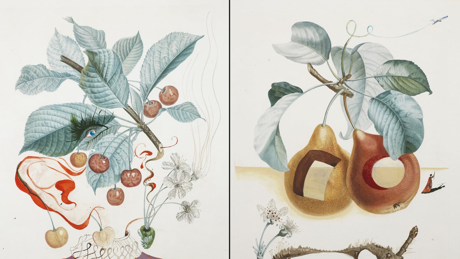 articles/2013/06/17/unseen-dali-paintings-up-for-auction/130614-dali-oconnor-tease_lhuxz2