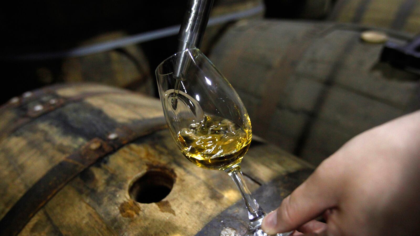 cheats/2014/12/01/are-you-drinking-whisky-correctly/141211-macallen-whiskey-correctly-cheat_yrelvt