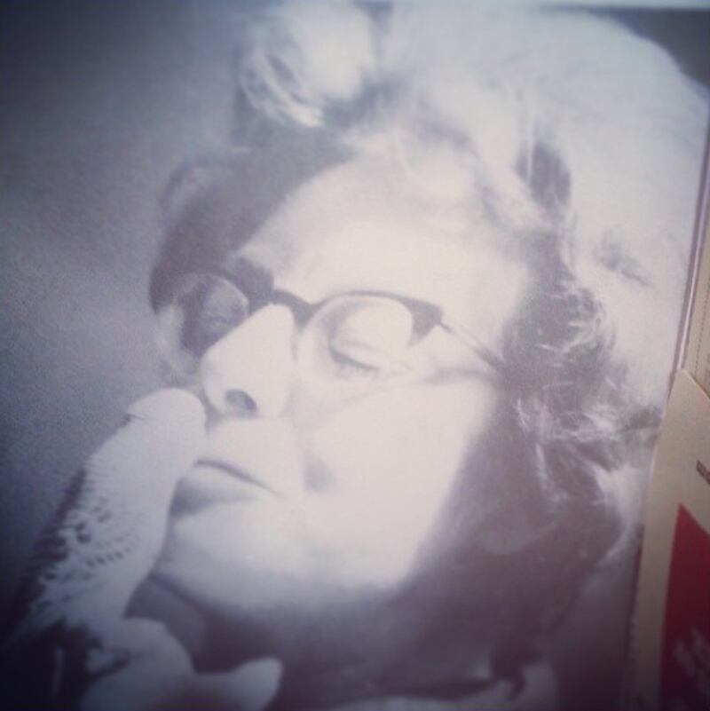 galleries/2013/07/26/that-looks-like-a-dick-instagram-account-penis-pics-everywhere/that-looks-like-a_dick-instagram-5_axgd1r