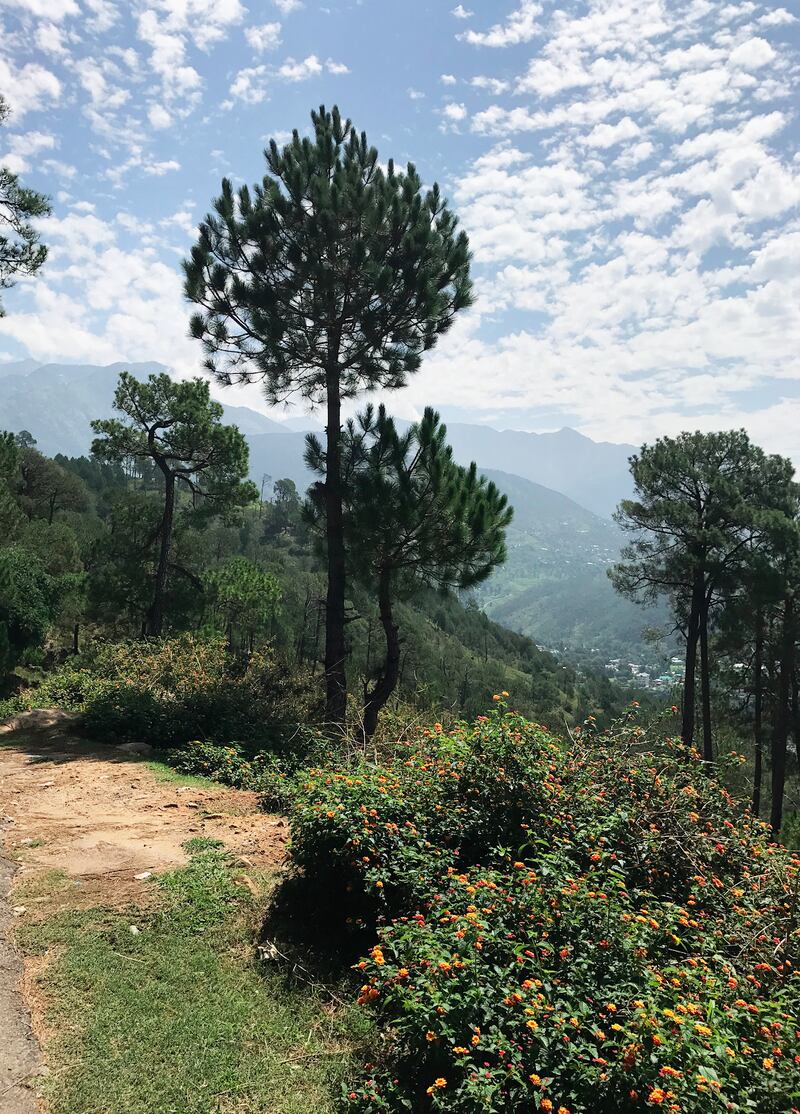 191106-singh-india-embed_a1m5qe