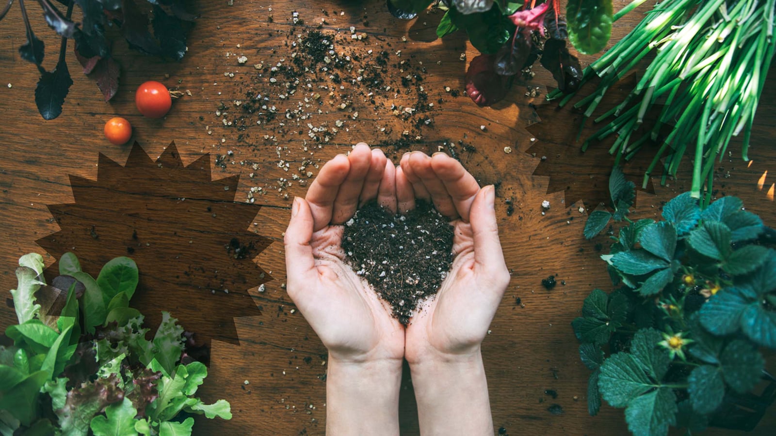 Hands holding dirt from garden