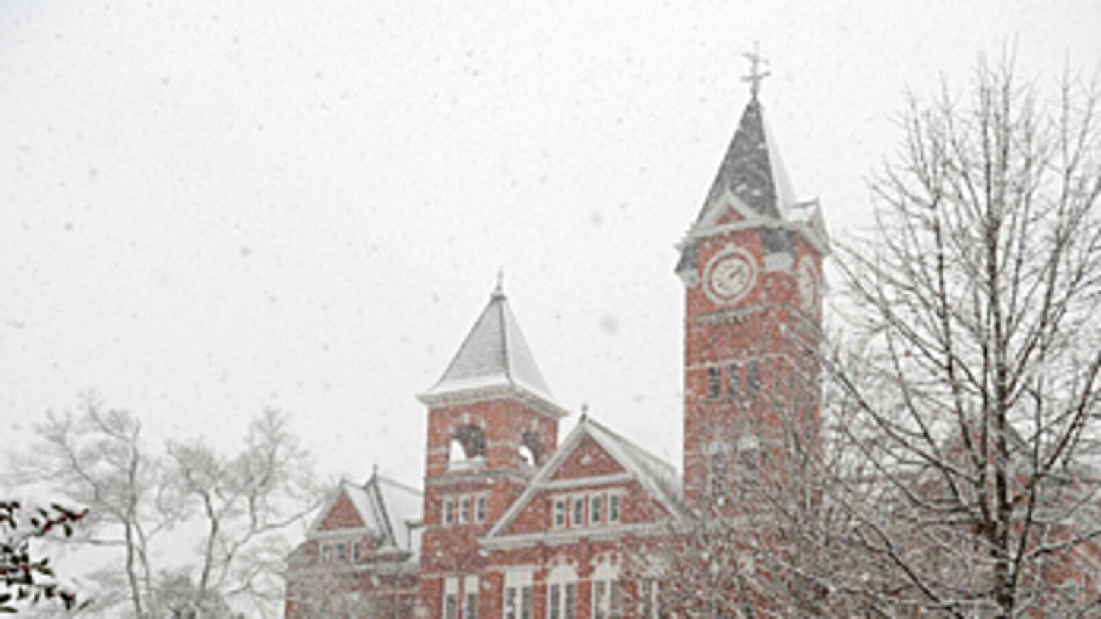 cheats/2011/01/11/southern-states-hit-with-snow/snow-in-alabama_iys0y9