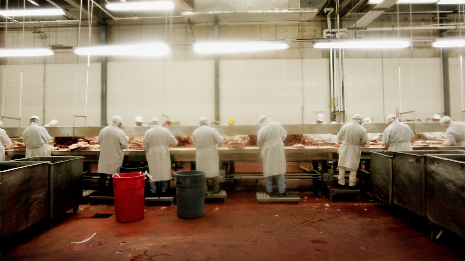 GettyImages-57099622_mwlnjf