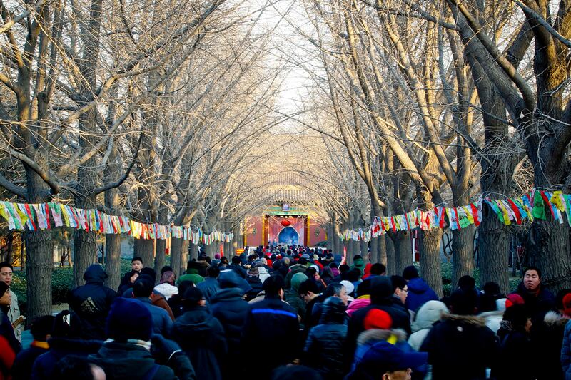 galleries/2012/01/23/chinese-new-year-2012-year-of-the-dragon-celebrations-photos/chinese-new-year-gal-11_wfsrgt