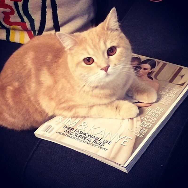 galleries/2014/04/05/from-beyonce-to-jared-leto-the-11-best-fashion-instagrams/140404-fashion-instas-bat_gio_tvm2nq