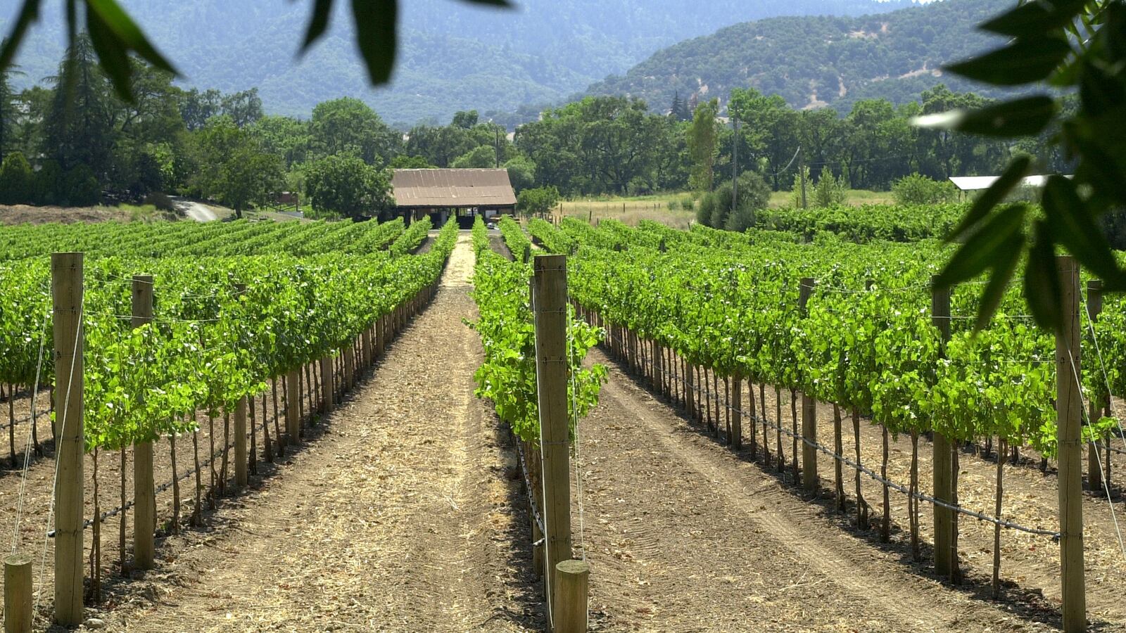 GettyImages-1323968_u5gvfb