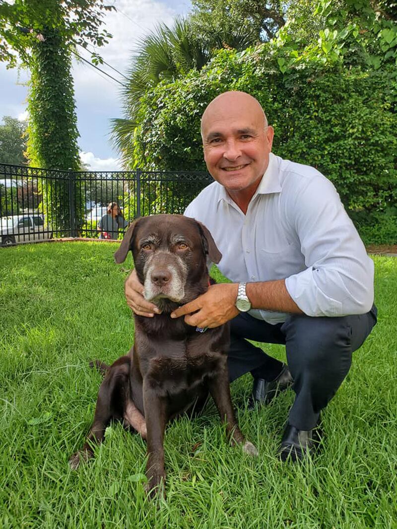 200818-daly-hotdog-toothpicks-embed-1_kimkss