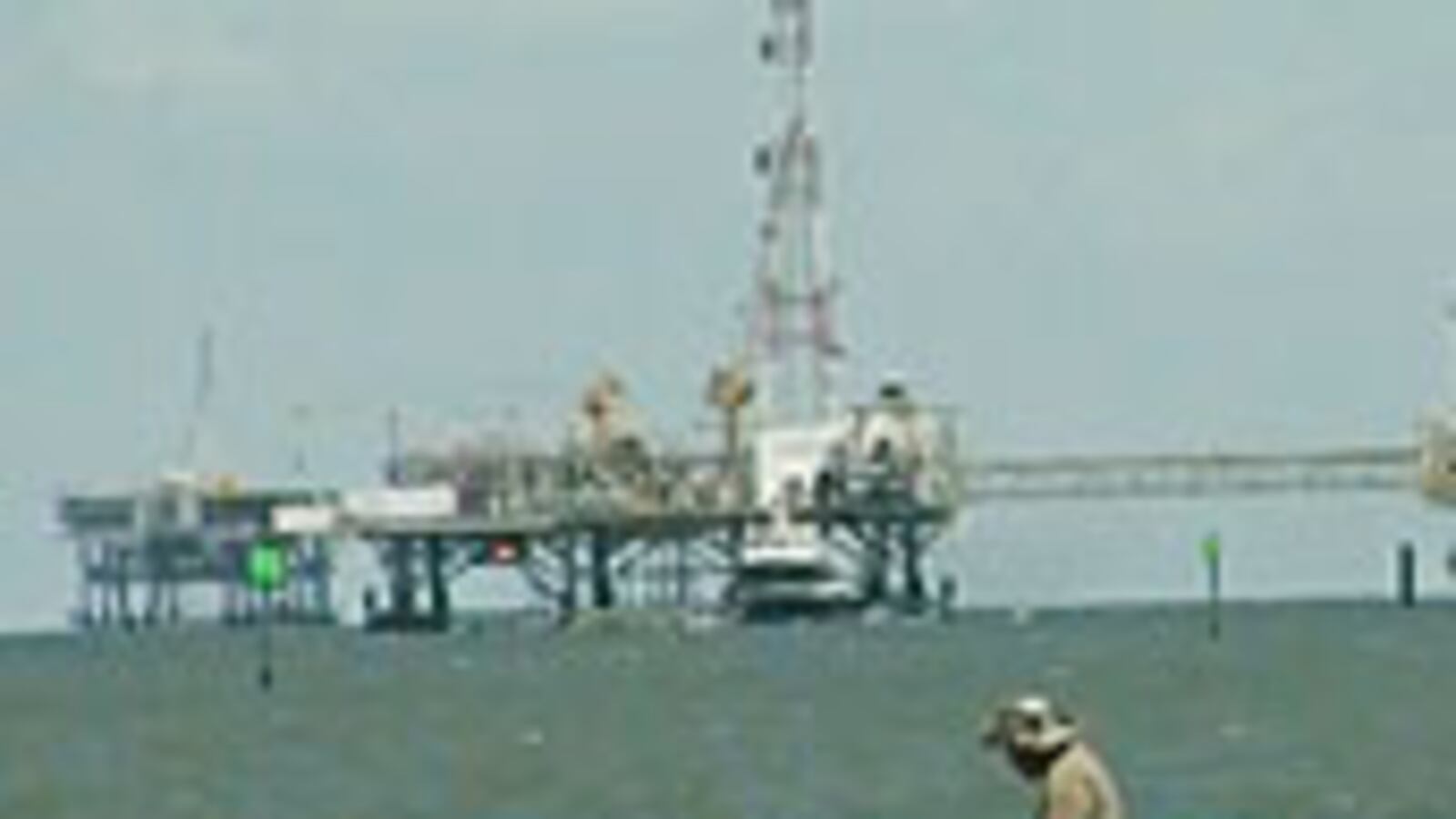 articles/2010/05/07/video-from-the-gulf-coast-oil-crisis/video-oil-spill_99072_c0kcf7