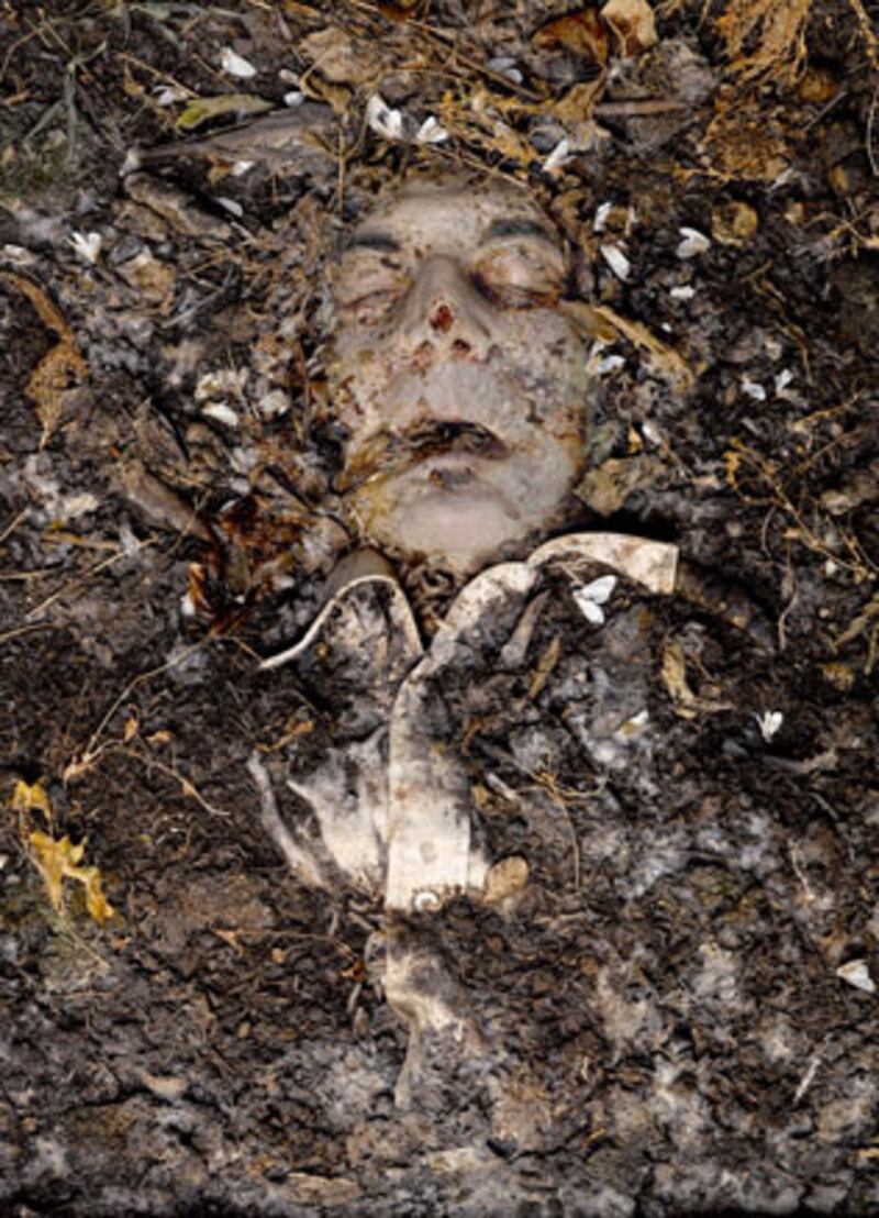 galleries/2009/12/09/the-new-italian-renaissance-1968-2008/italiitalian-art---roberto-cuoghi_dpfgkc