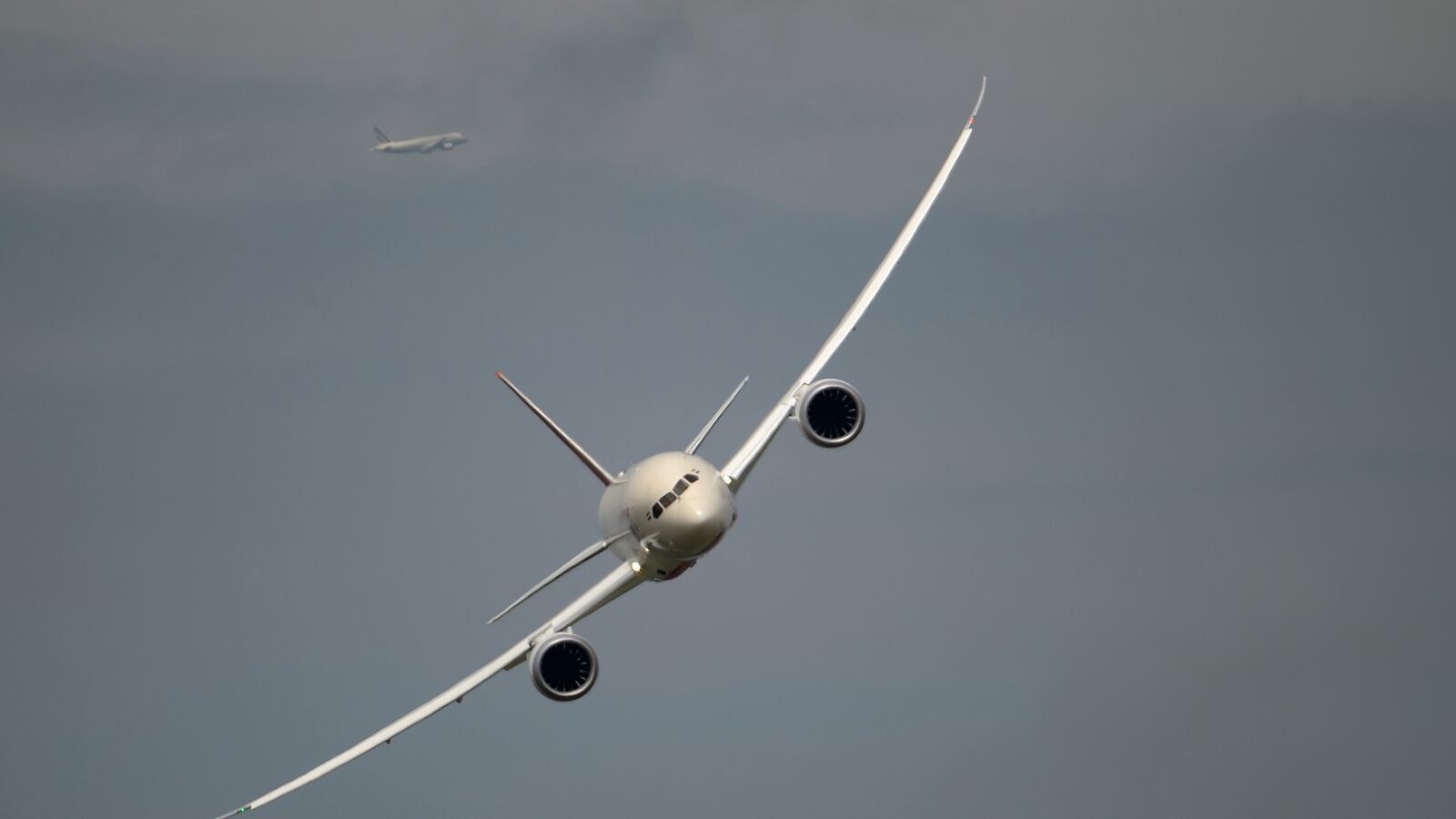 cheats/2013/11/22/minty-genital-guy-not-guilty/131122-week-weird-plane_uhnx5i