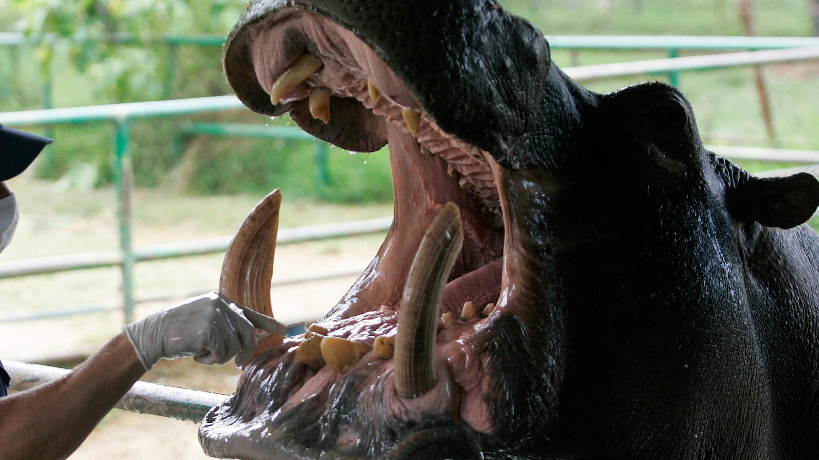 2010-01-27T120000Z_1428681753_GM1E61S05US01_RTRMADP_3_COLOMBIA_hlt2rh