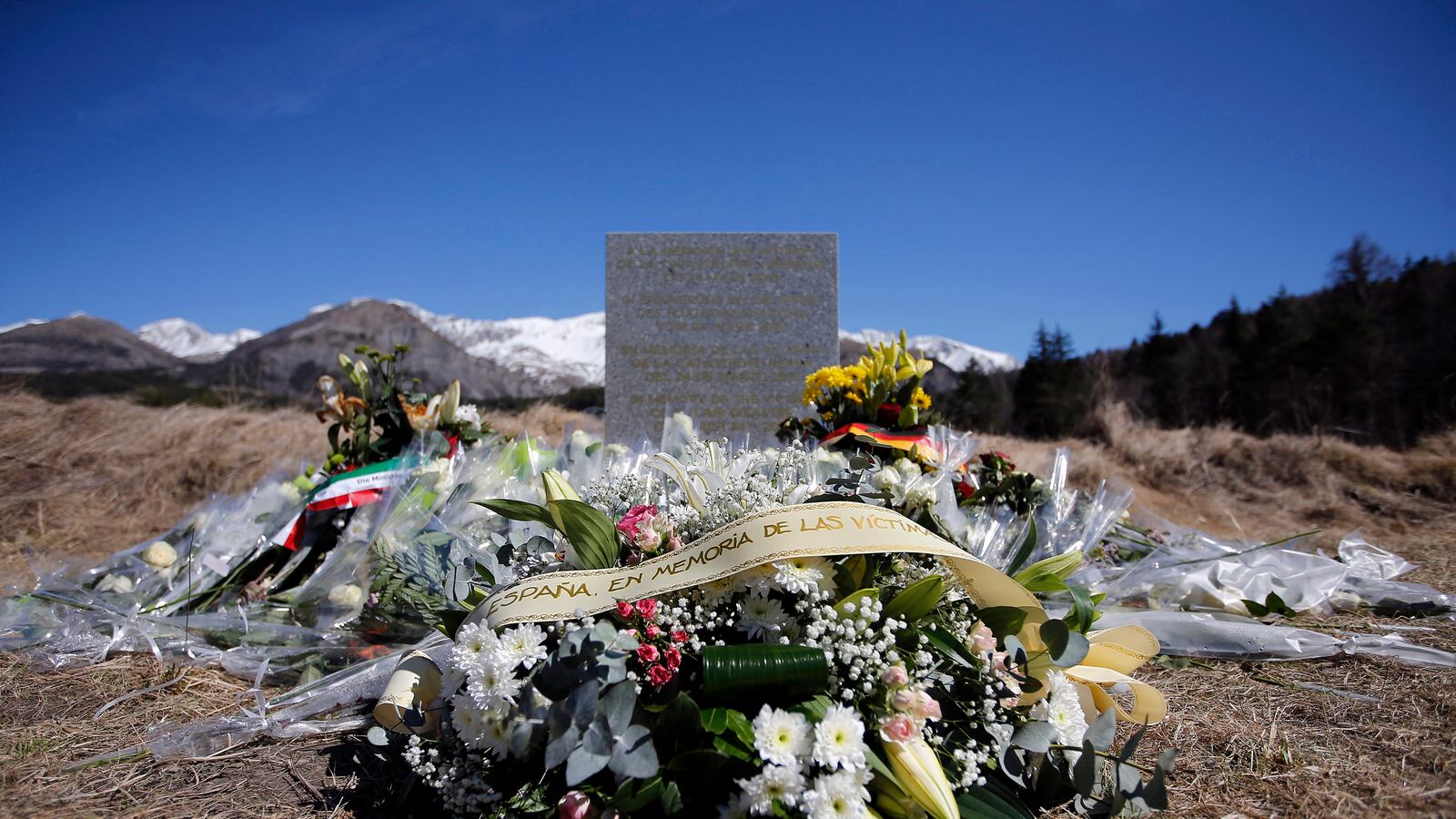 articles/2016/03/24/andreas-lubitz-and-the-global-pilot-scam-threatening-your-safety/160323-irving-germanwings-tease_xn2nsk