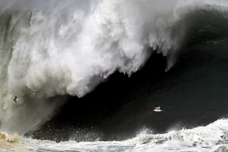 galleries/2011/10/27/photo-of-the-day/photo-of-the-day-111215-02_viatcx