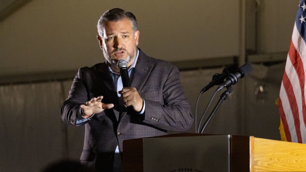 Sen. Ted Cruz (R-TX) speaks at a rally for Republican Senate candidate Herschel Walker on November 10, 2022 in Canton, Georgia.
