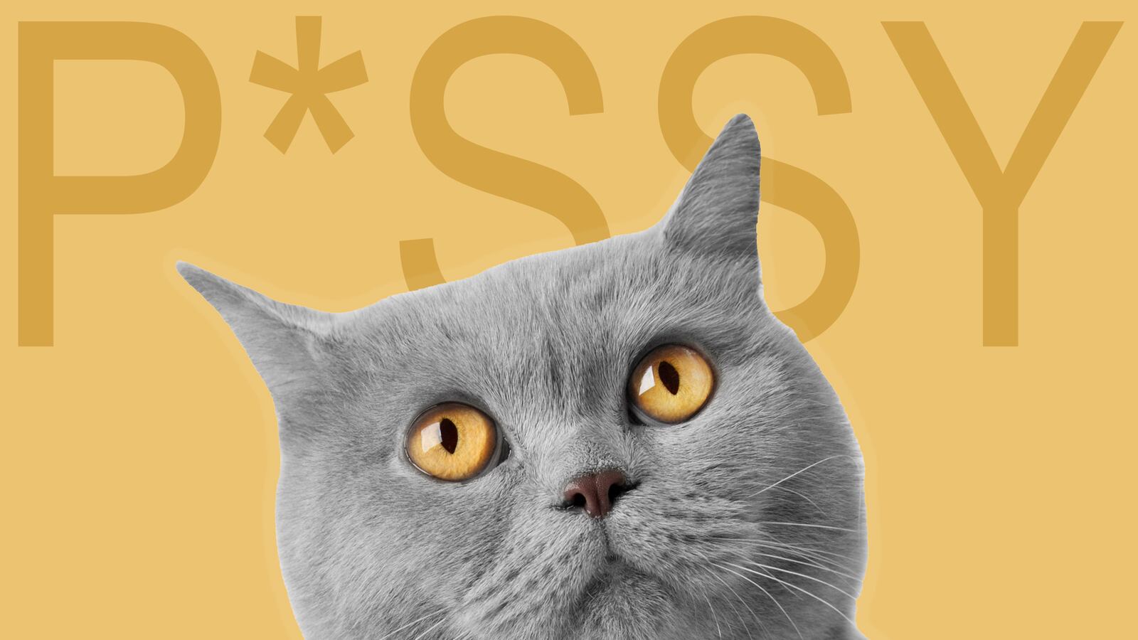 articles/2016/02/10/how-p-ssy-got-its-very-rude-power/160210-crocker-pussy-tease_pb1ev9