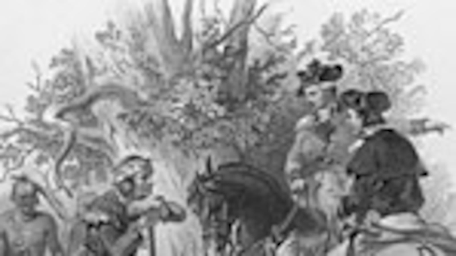 articles/2008/10/17/hitlers-bedtime-reading/hitler-books-1-mohicans_r6obqn