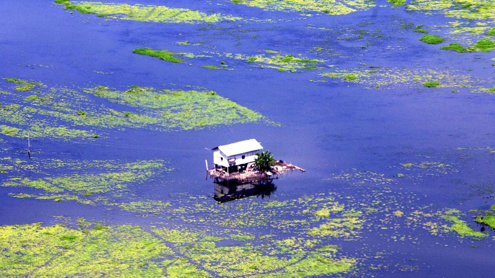 articles/2015/03/05/el-ni-o-is-officially-back/150305-gawthrop-el-nino-tease_iqpxo6