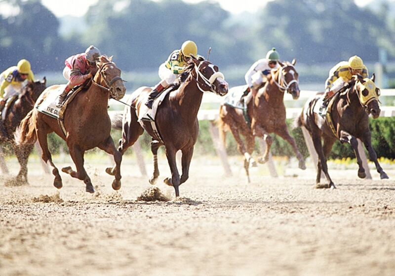 galleries/2011/05/05/top-racehorses/top-racehorses---hansel_g95dvs