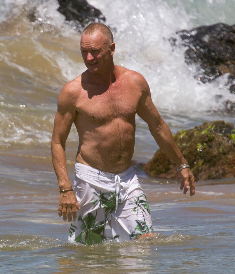 galleries/2012/12/13/roger-daltrey-s-chest-more-hot-older-men-photos/sting-sexy-old-chests_yakwqv