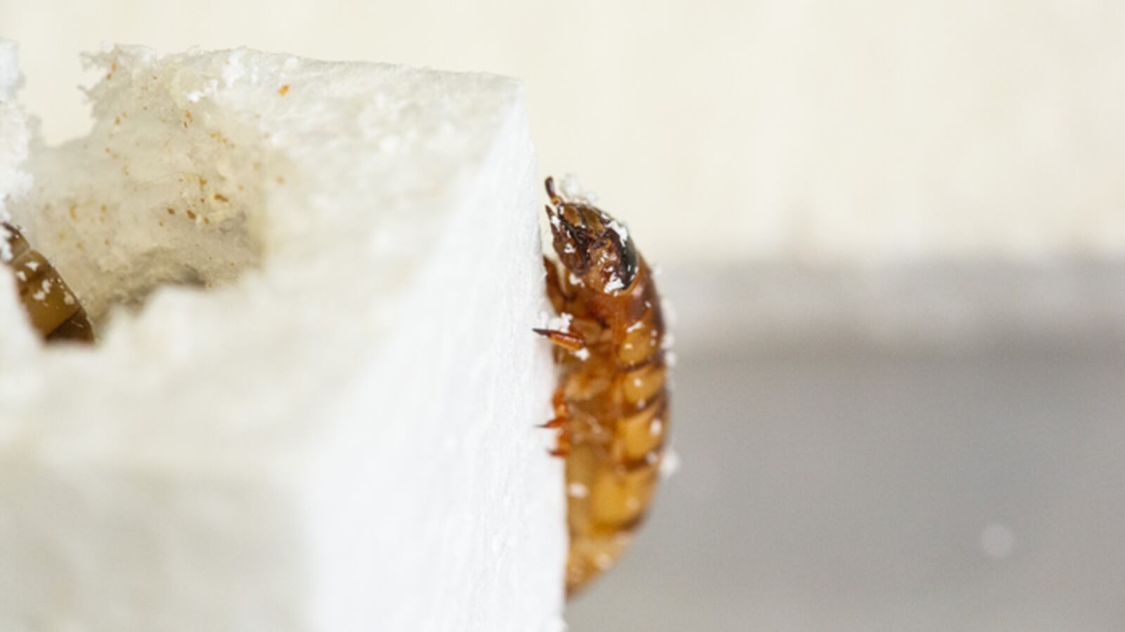 Low-Res__MG_2736.jpg_im8hmc