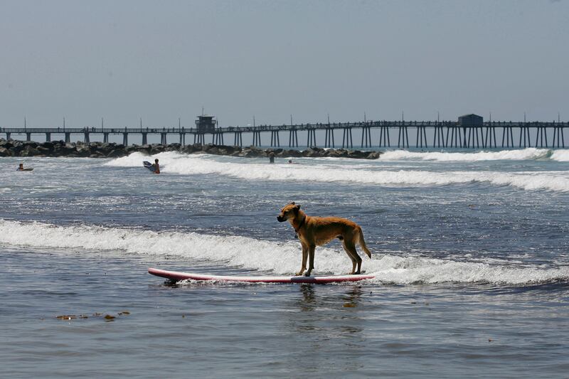 galleries/2012/06/30/dirtiest-beaches-in-america-indiana-to-maine-florida-to-california/dirtiest-beaches-6-imperial-beach_tzg0ji