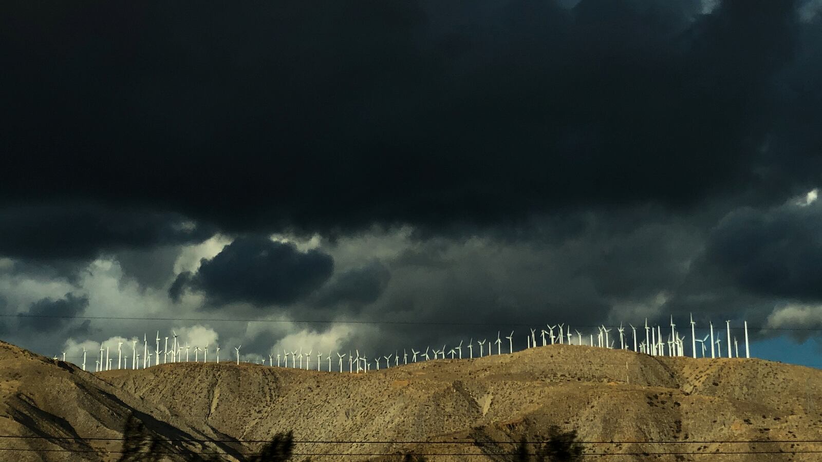 2019-11-29T000000Z_723551376_RC2BLD917DO7_RTRMADP_3_USA-ENVIRONMENT_qnj9mk