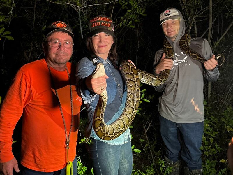 Secretary of Agriculture Brooke Rollins participated in a python hunt in the Florida Everglades on July 21, 2025 and shared how the massive snakes are an invasive species and have caused problems for the ecosystem.
