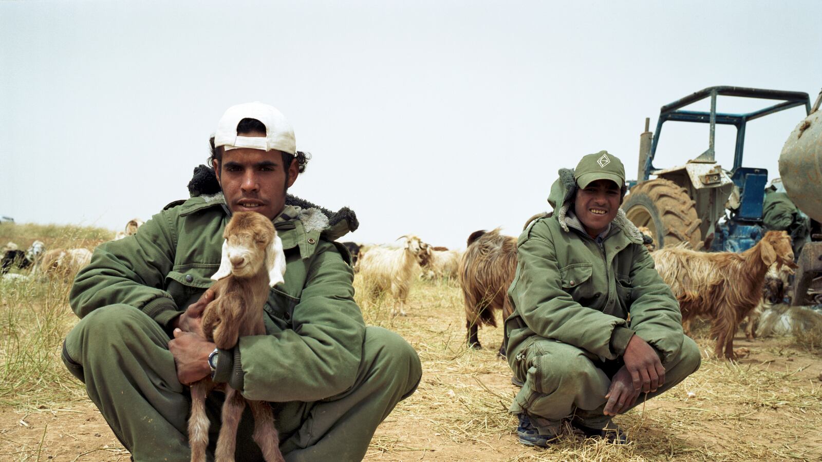 articles/2013/05/24/new-bill-threatens-bedouin-rights-in-israel/Bedouin_Shepherd_pstcrd