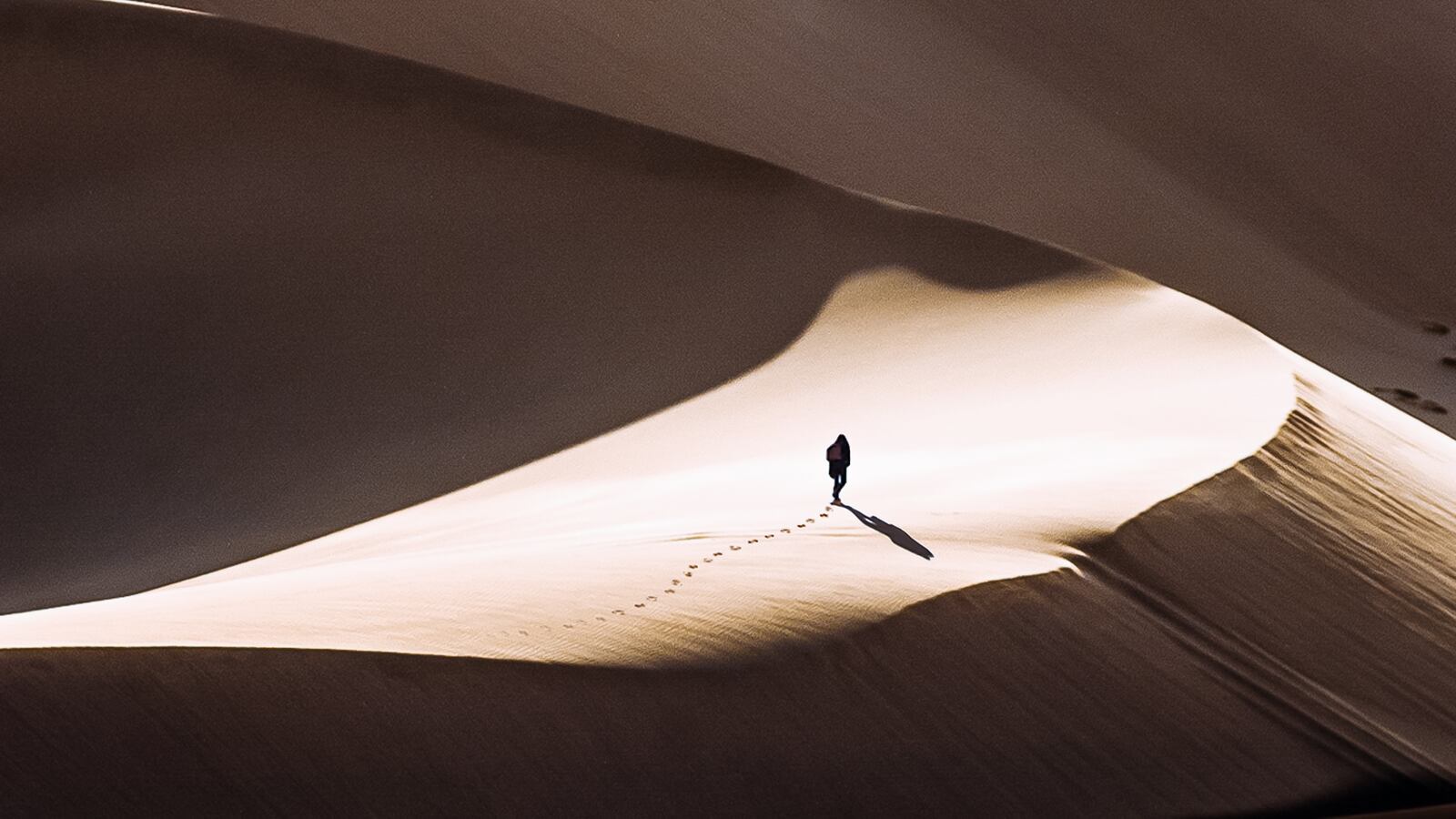 20180809-finding-dan-dan-grinwis-396674-unsplash_mapdrq_szz06a