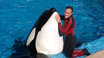 articles/2010/02/25/when-killer-whales-kill/frazier-orca-trainer-death_84251_gi2q0j