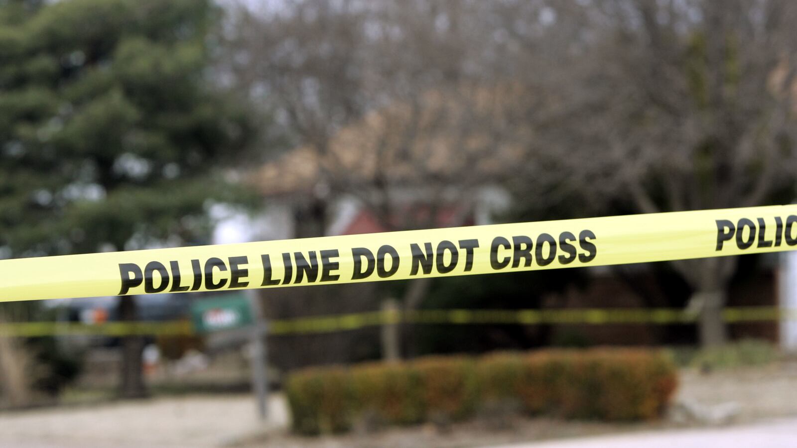 GettyImages-52245874_mxc8jk