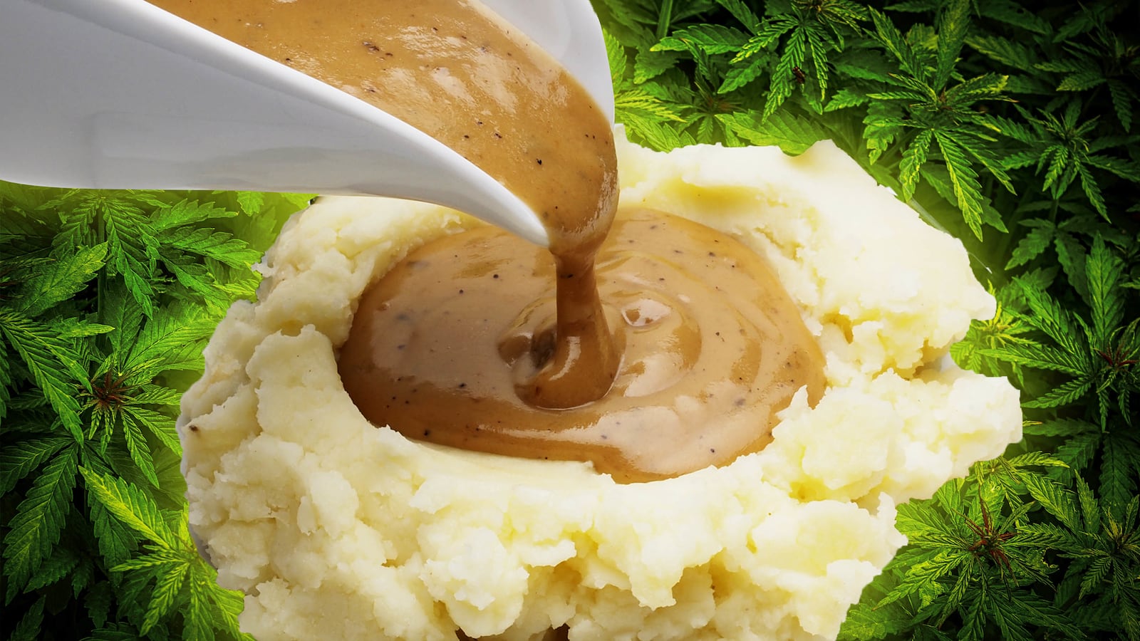 191126-alaina-gravy-tease_jg20if