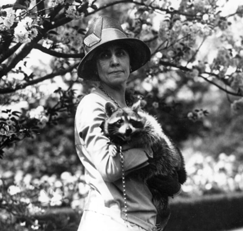 galleries/2009/04/12/presidential-pets/presidential-pets---calvin-coolidge_reanm0