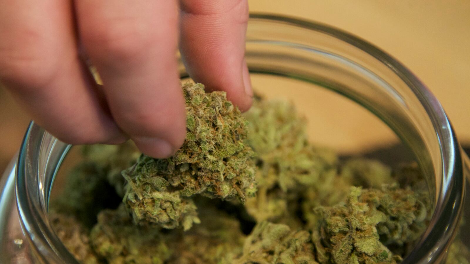 cheats/2014/06/06/colo-oks-world-s-1st-pot-banking-system/190721-weed-cheat_fuyzft