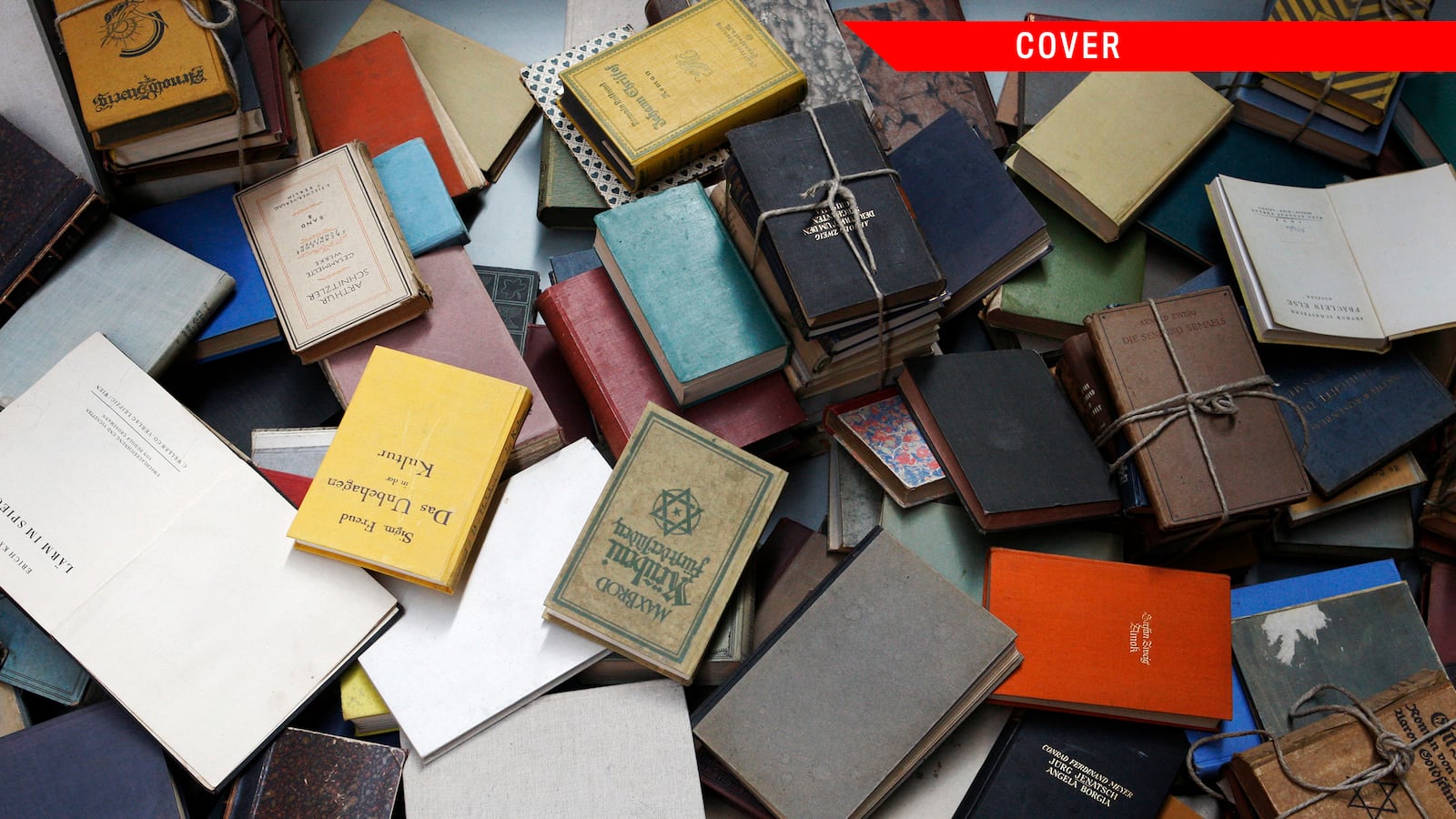 articles/2015/10/17/the-beautiful-books-the-nazis-burned/151016-dery-weimar-books-tease_nuins0