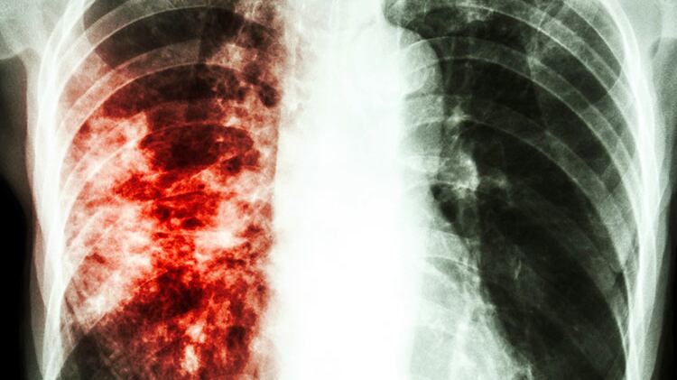 ContentPages6_jvvhk8