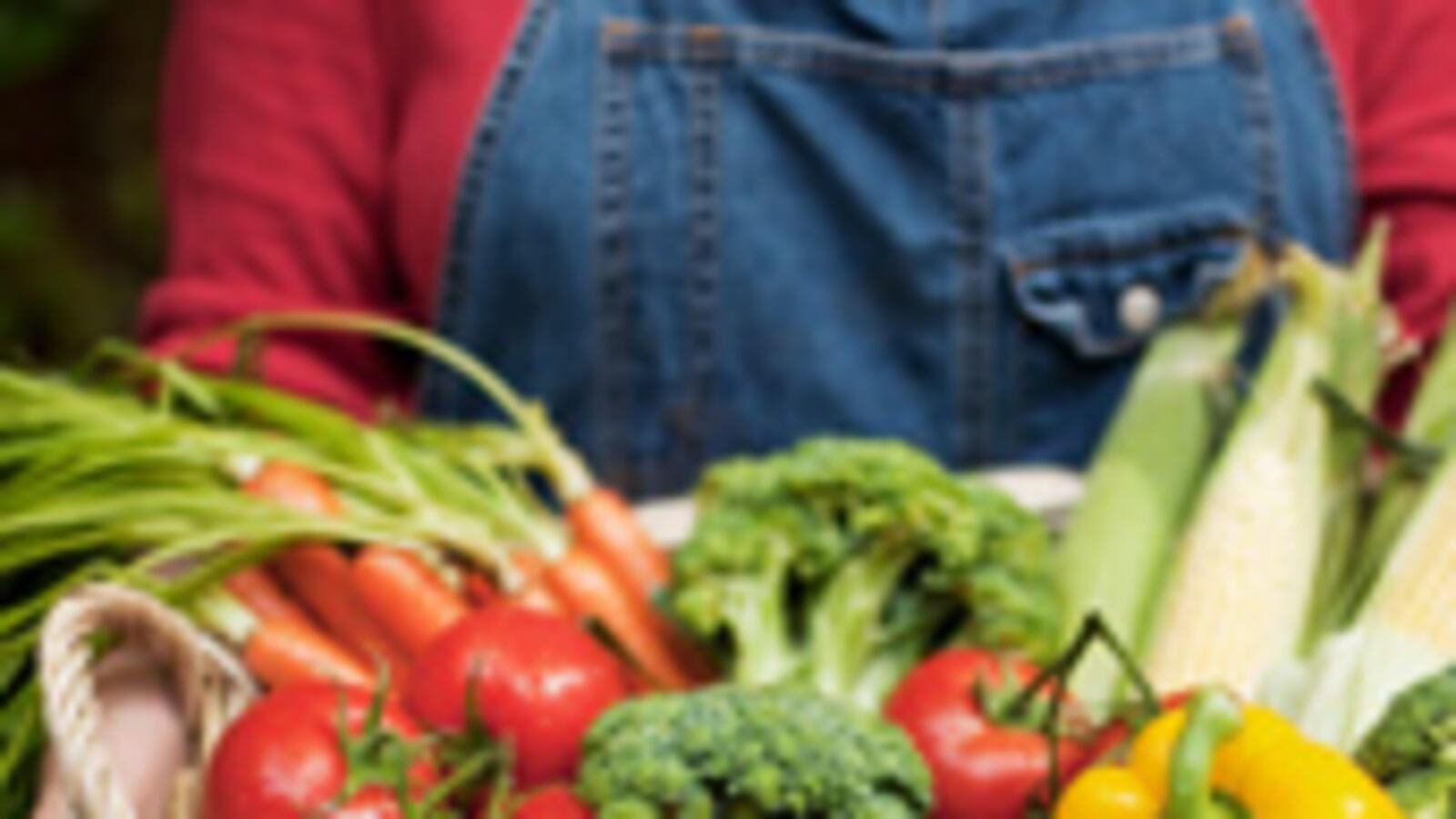 articles/2010/04/20/5-recipes-for-foraged-foods/foraged-food_95548_ppmhvg