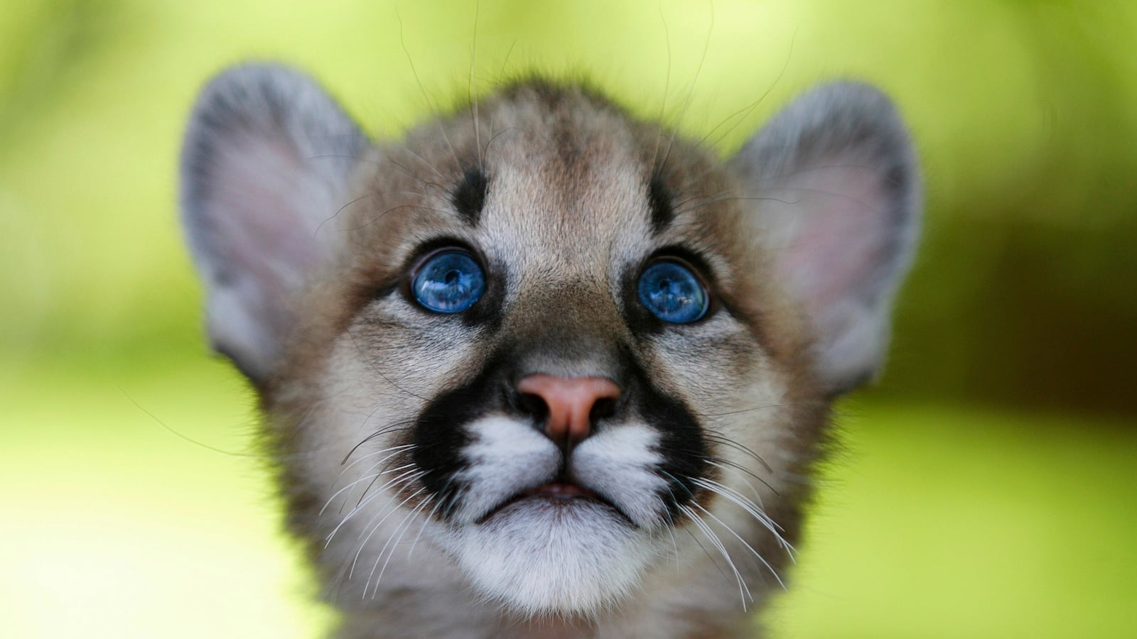 GettyImages-73986657_ffvjtf