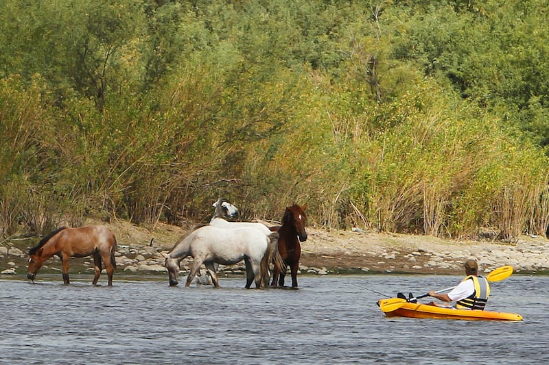 galleries/2011/11/03/fittest-cities-from-denver-to-los-angeles-photos/fittest-cities-phoenix_efvkul