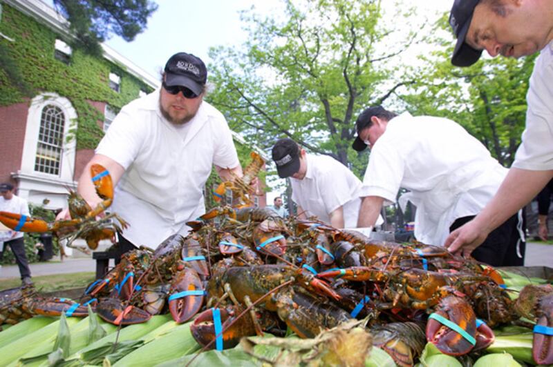 galleries/2009/10/06/campus-food/campus-food---bowdoin_la6atz