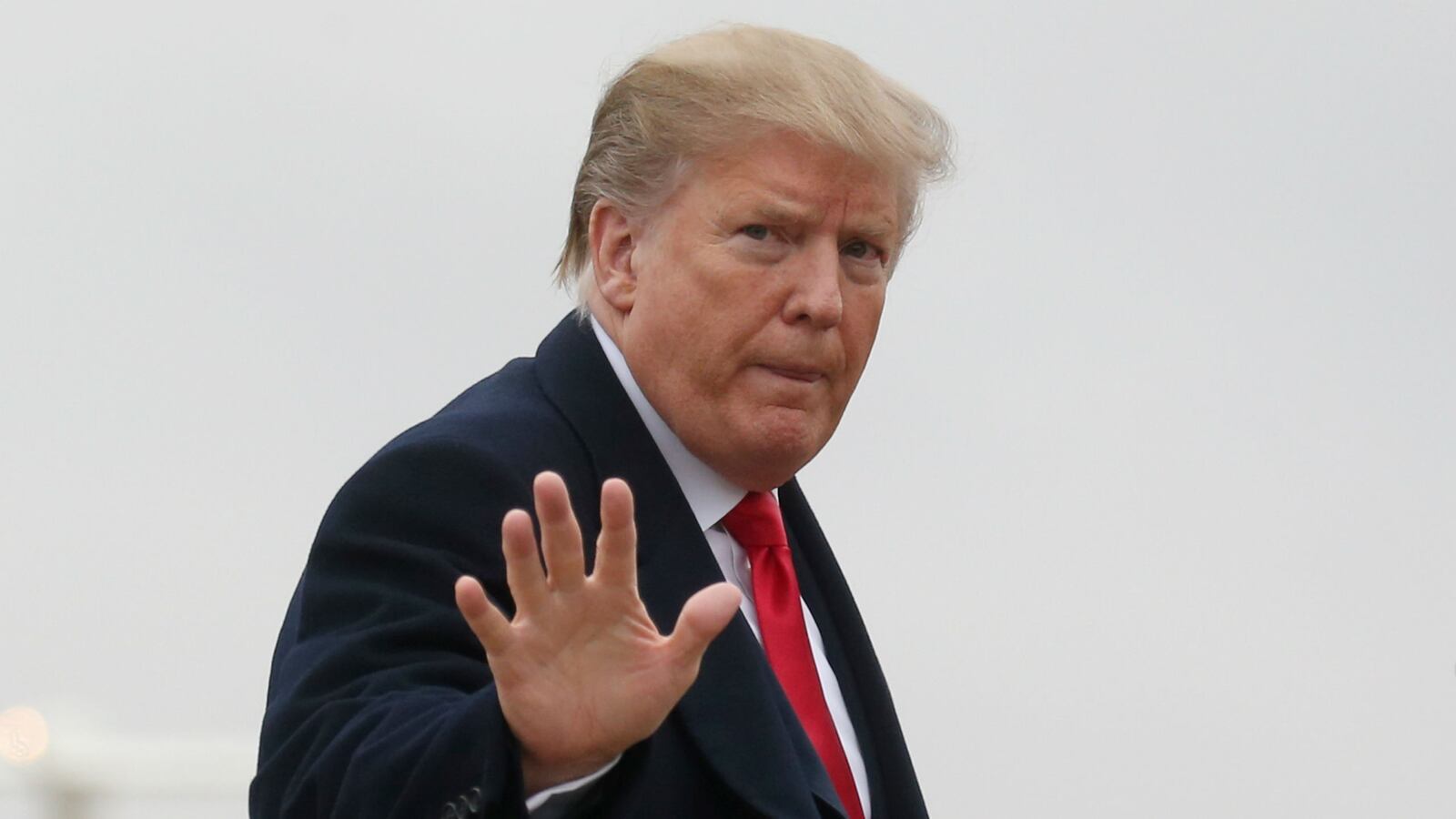 190222-Trump4_tgx7eh