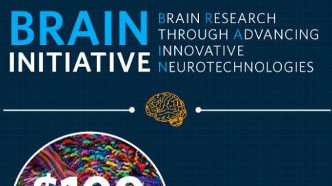 articles/2013/04/03/thoughts-on-the-brain-initiative/thoughts-on-the-brain-initiative-image_btfyma