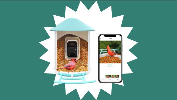 Screen_Shot_2022-06-08_at_11.57.54_AM_tcsfnk