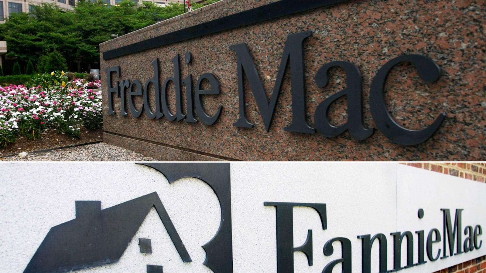 cheats/2011/08/08/fannie-and-freddie-downgraded/fannie-mae-freddie-mac-cheat_qsq6cs